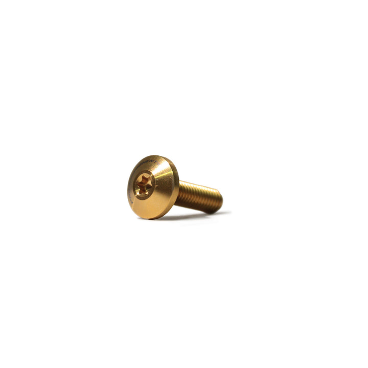 Tornillo M5x17mm button  (x1 unidad)