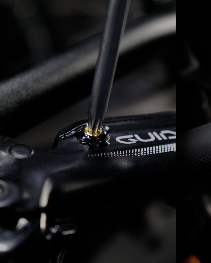 Tornillo de purga M5x5mm torx - manetas SRAM (x2 unidades)