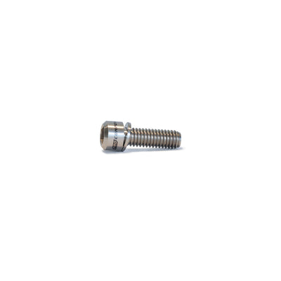 Tornillo M6x17mm (X1 Unidad)