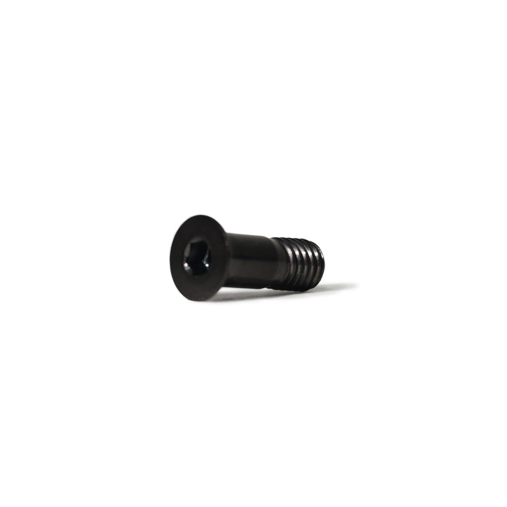 Tornillo M5x14mm (x2 unidades) - Roldanas del tensor
