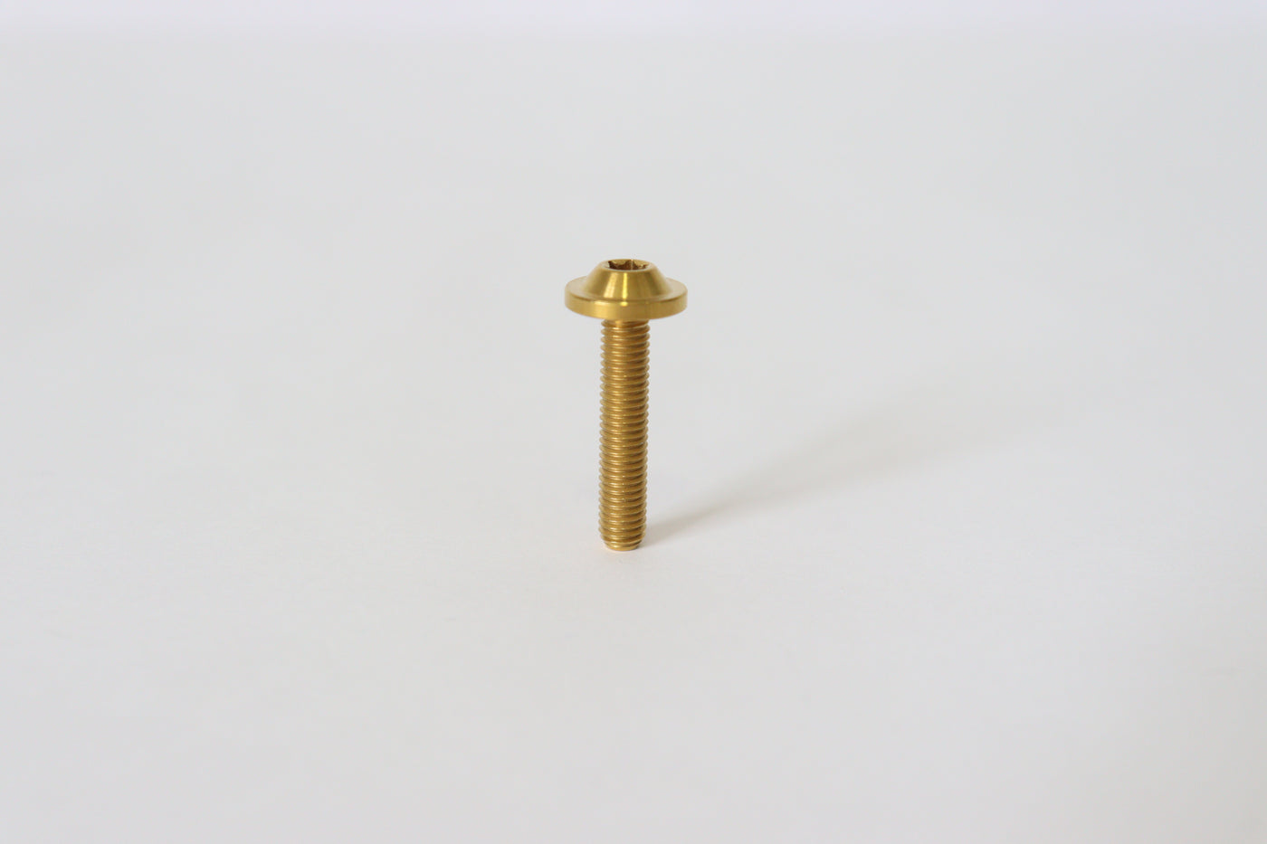 Tornillo M5x25mm button