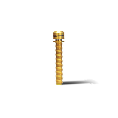 Tornillo M6x35mm (X1 Unidad)